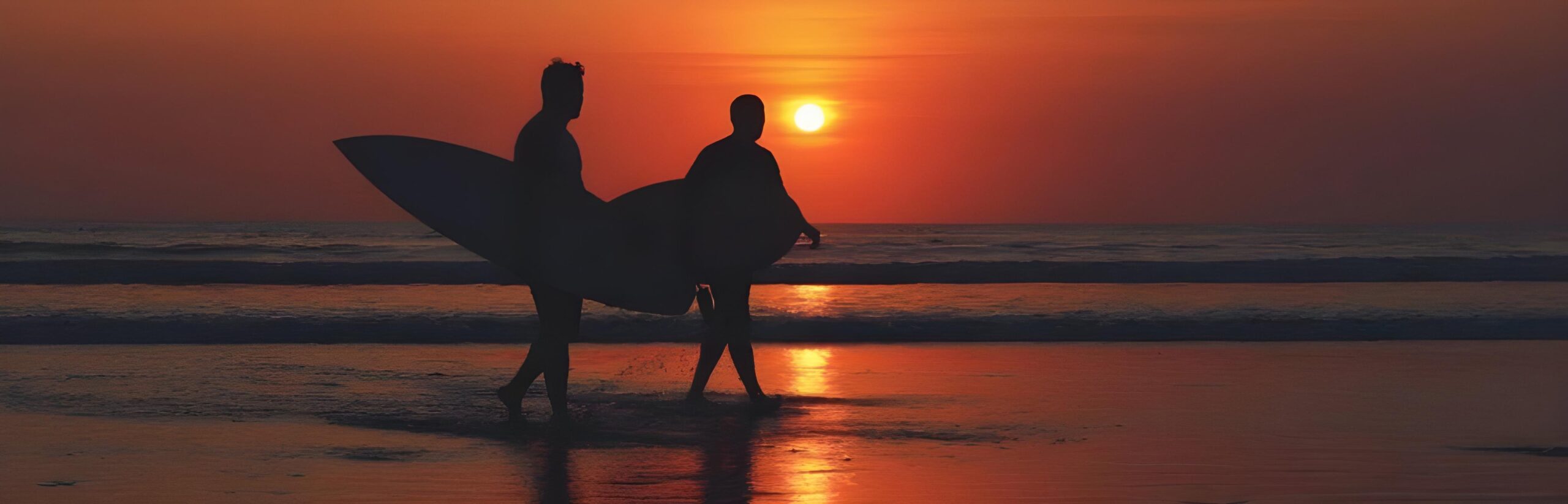 Take In The Sunset
