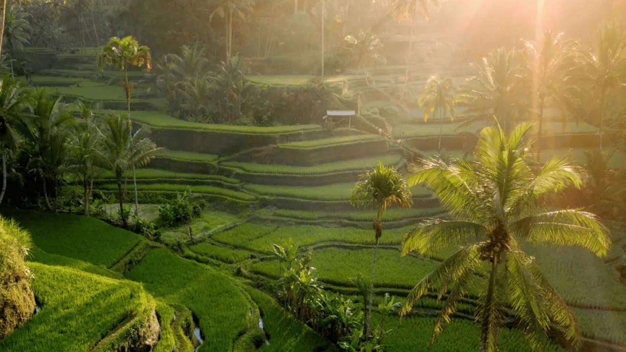 Ubud