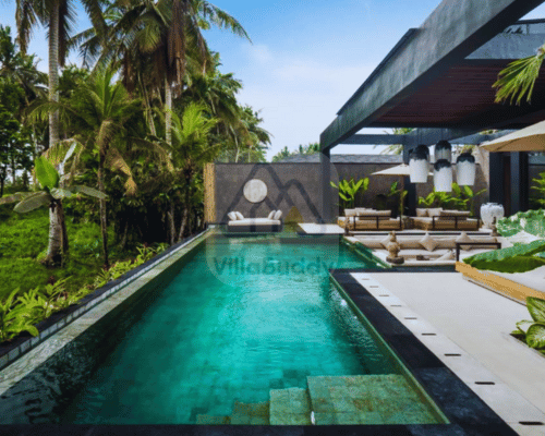 Villa Jungle Paradise - 1
