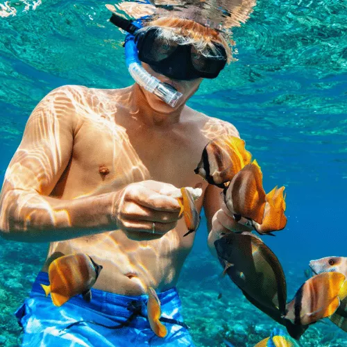 snorkeling-and-diving-in-amed-and-menjangan-island