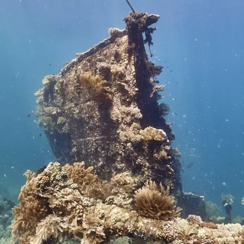 2-japanese-shipwreck