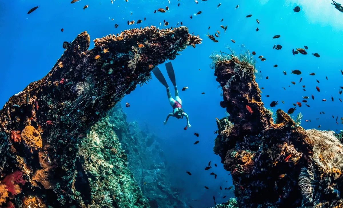 amed-snorkeling-spots-fi