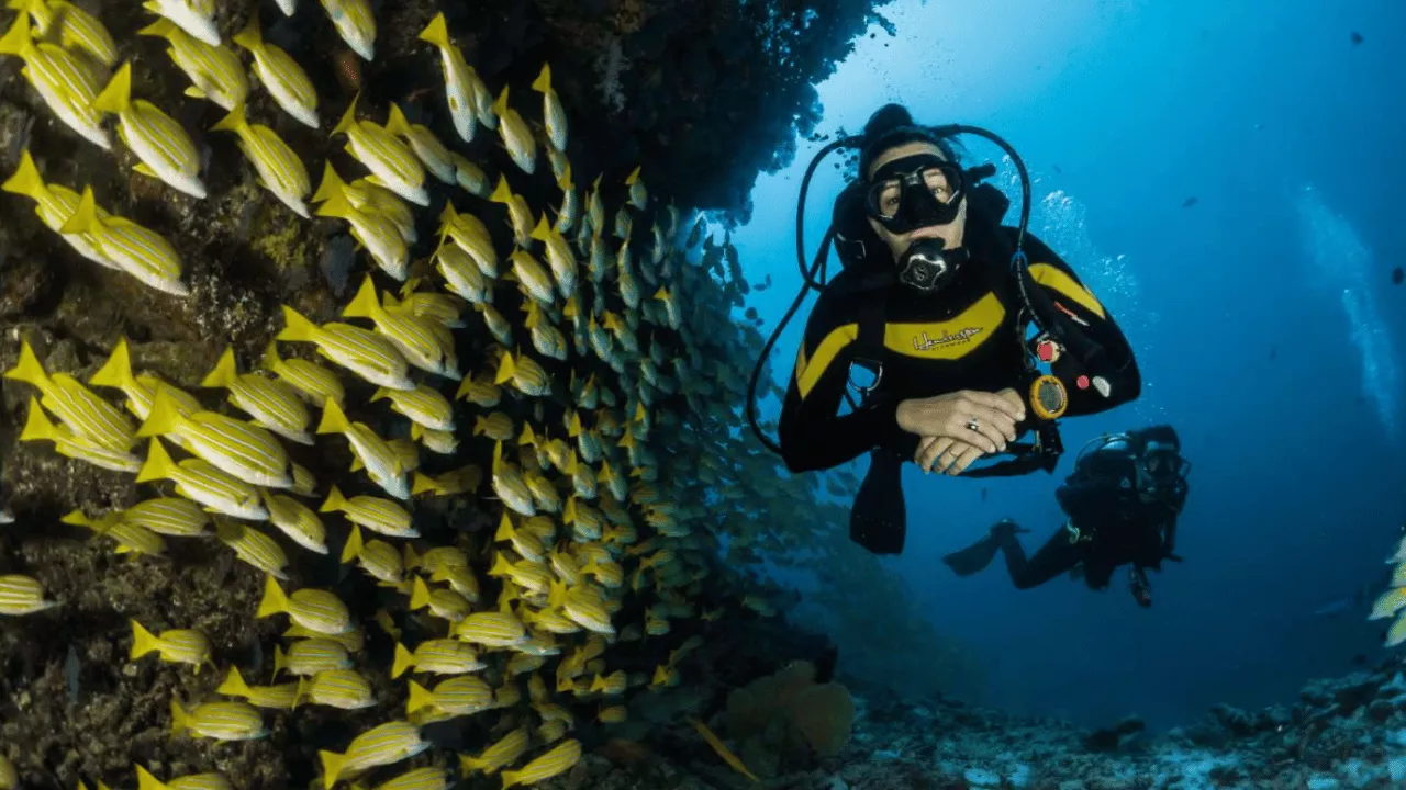 essential-tips-before-snorkeling-in-amed