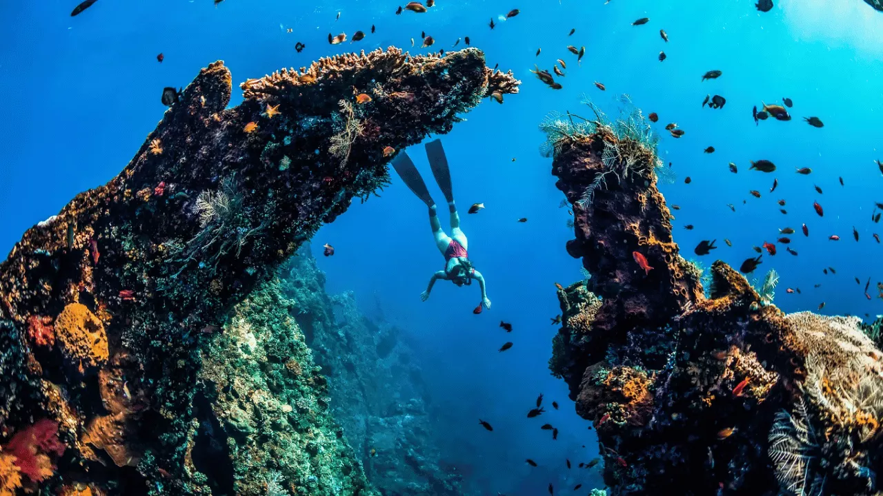 top-6-amed-snorkeling-spots-you-should-not-miss