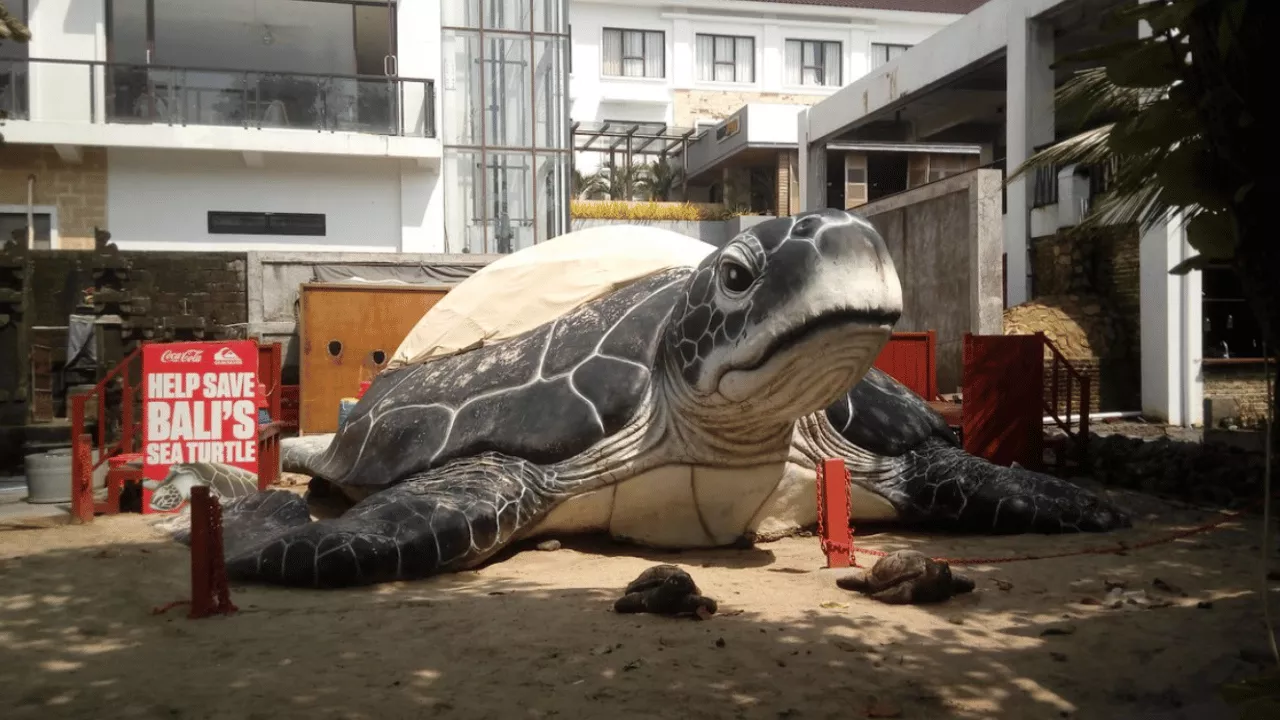 top-attractions-activities