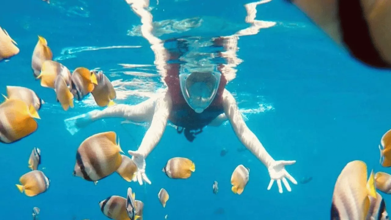 what-you-can-see-while-snorkeling-in-amed