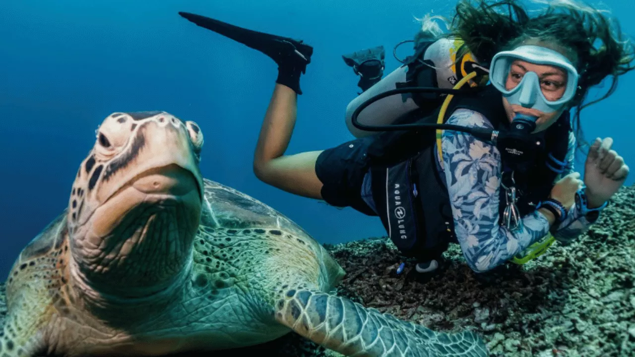 best-time-to-dive-in-gili-islands