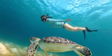 nusa-lembongan-fi