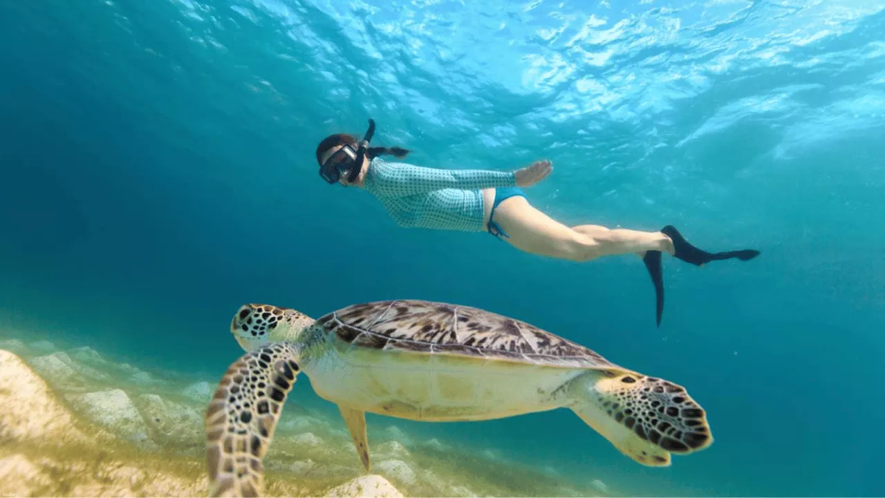 top-7-things-to-do-in-nusa-lembongan
