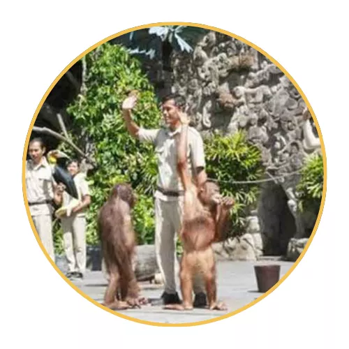 4-watch-animal-presentations-and-educational-shows