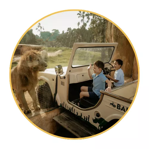 5-visit-the-petting-zoo-with-kids