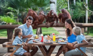 bali-zoo-fi