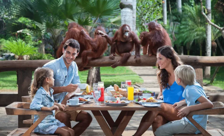 bali-zoo-fi