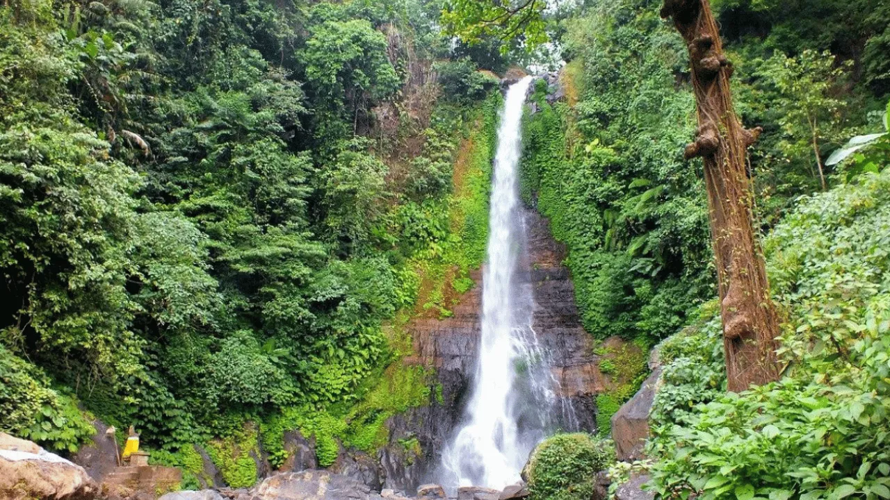 best-attractions-near-lovina-beach