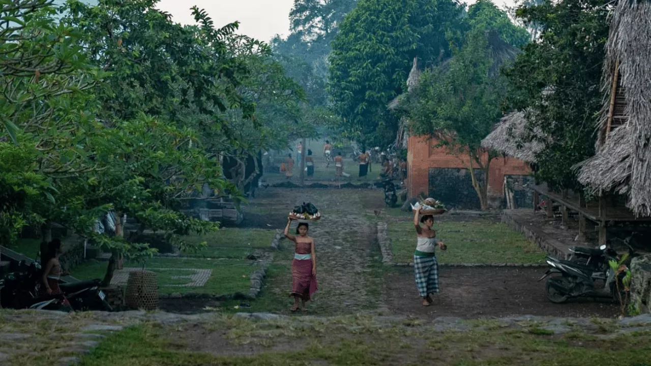 best-time-to-visit-tenganan-pegringsingan-village