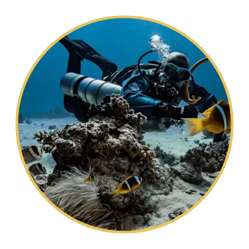 exploring-coral-reefs-and-marine-life