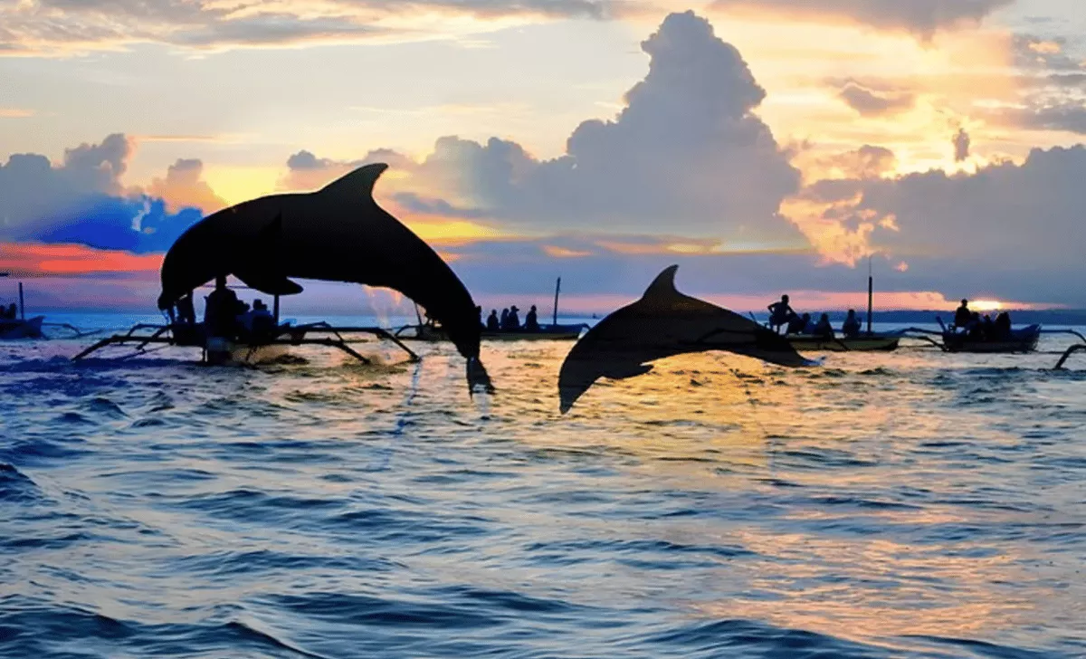 lovina-beach-fi