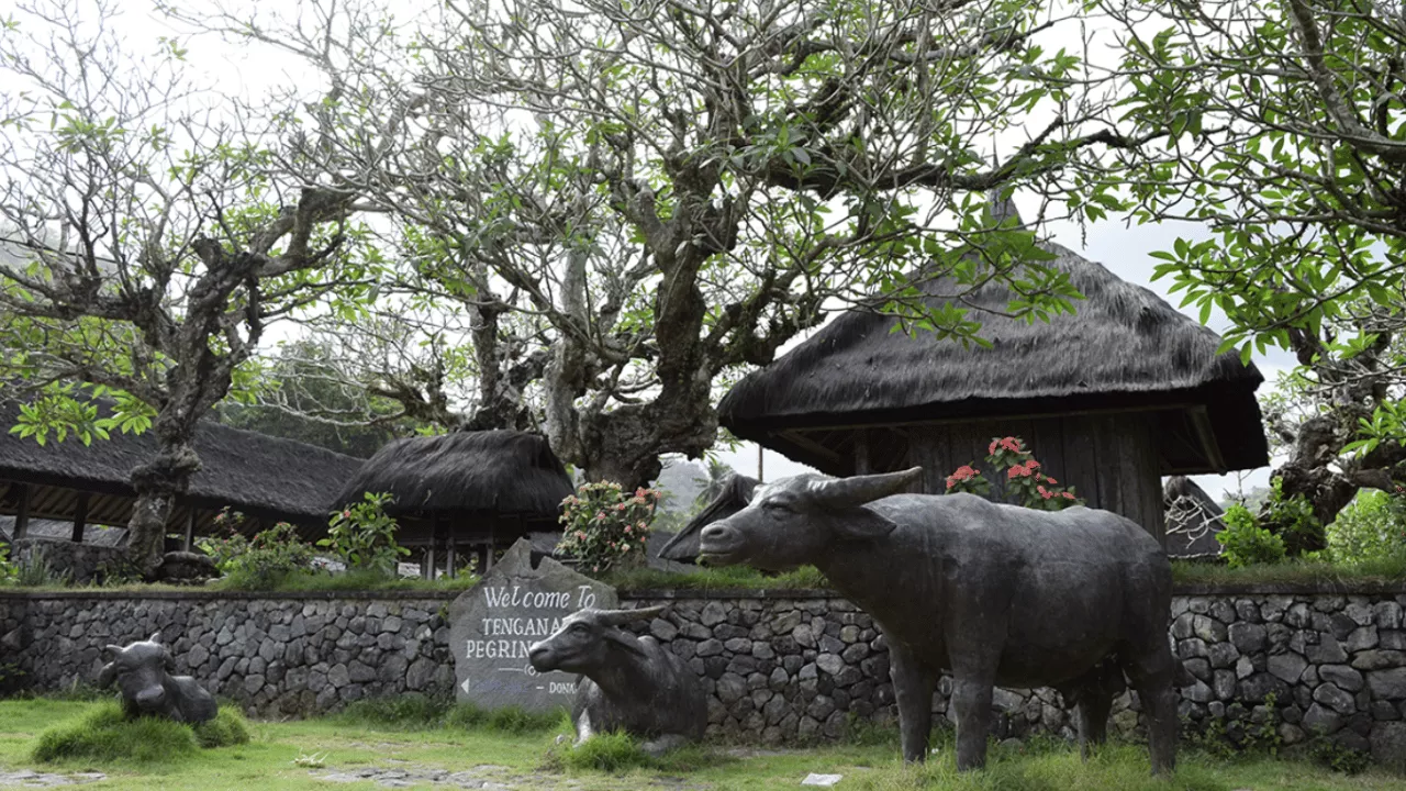 tenganan-pegringsingan-village